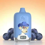 FUMOT 12000 Blaubeere Ice Blueberry Ice – 12k Vape Einweg-E-Zigarette