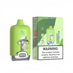 FUMOT 12000 Himbeere Wassermelone – 12k Einweg Vape