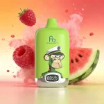 FUMOT 12000 Himbeere Wassermelone – 12k Einweg Vape
