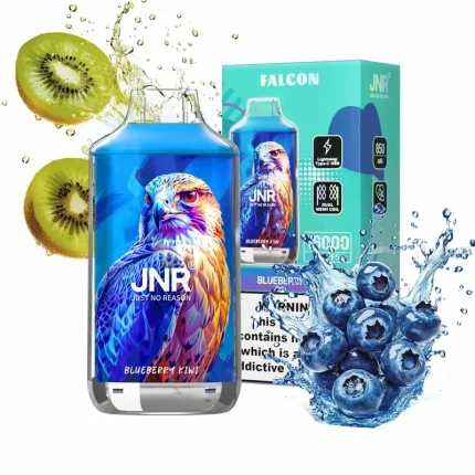 JNR Falcon 16000 Blueberry Kiwi