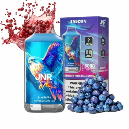 JNR Falcon 16000 Blueberry Pomegranate Ice
